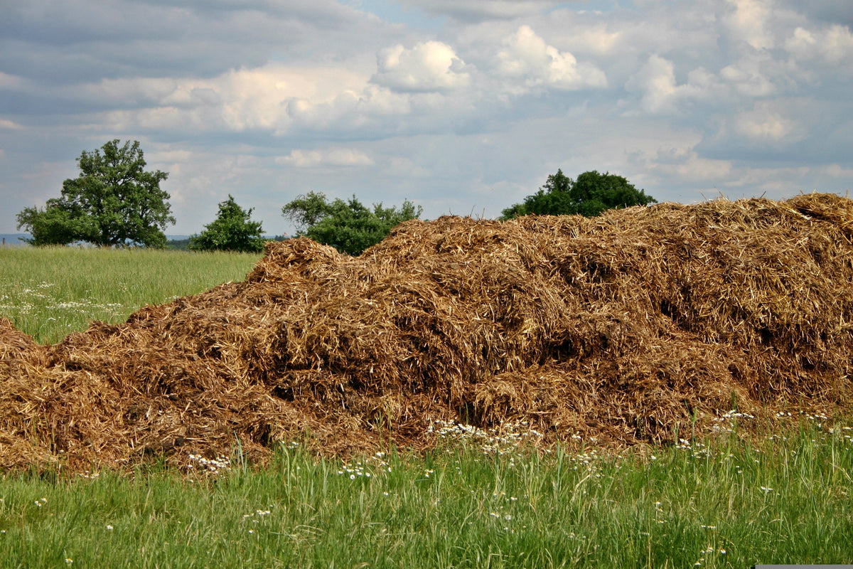 Getting More From Slurry and FYM: Why Management Matters