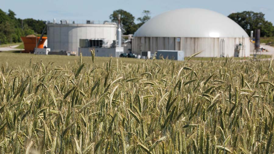 Maximising Biogas Potential: What AD Plants Can Expect