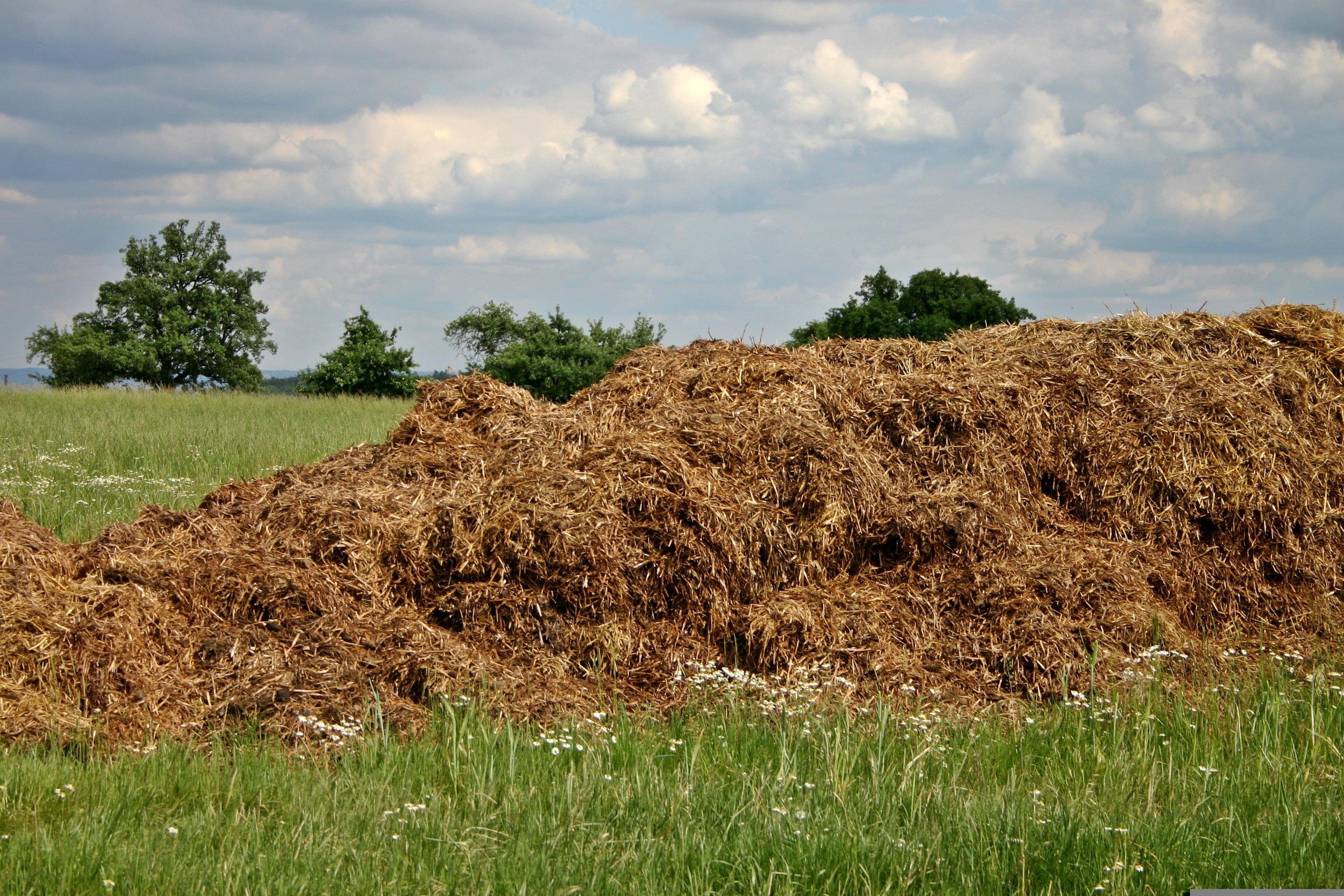 Farmyard manure for agricultural use