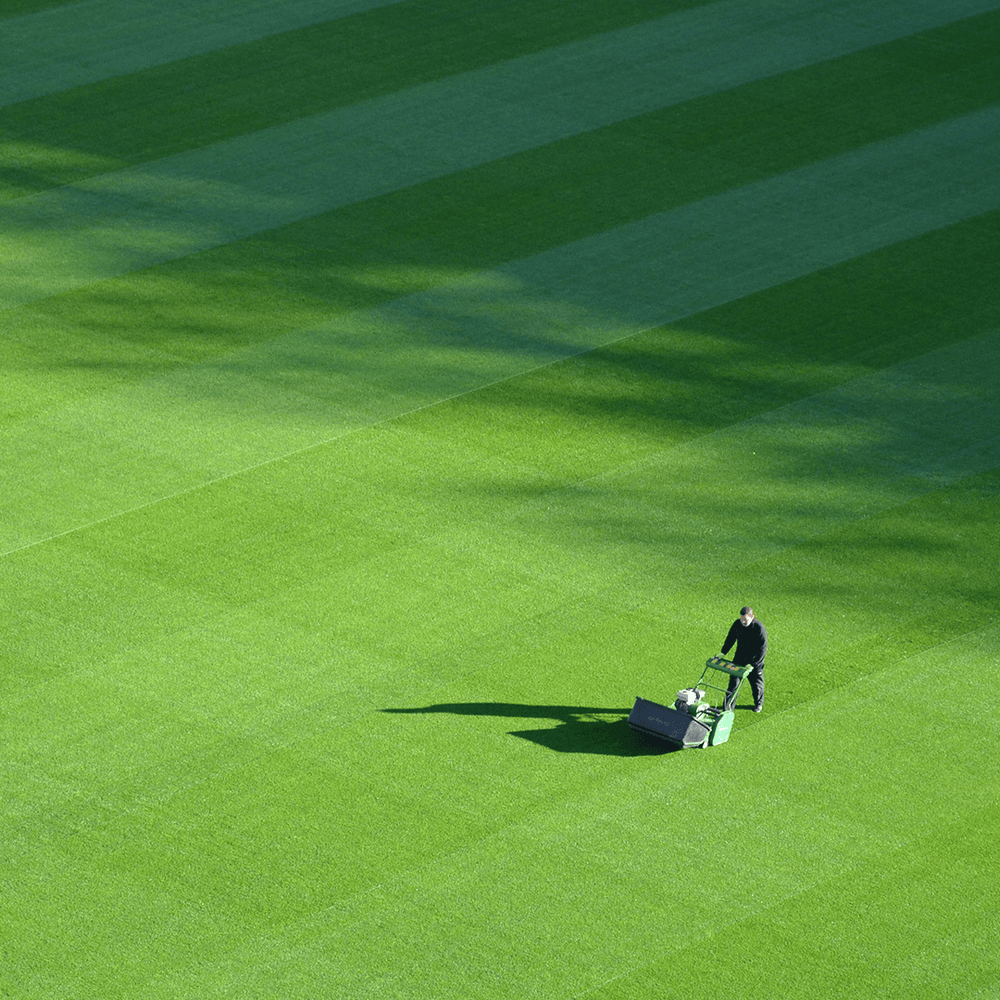 Sports Grounds