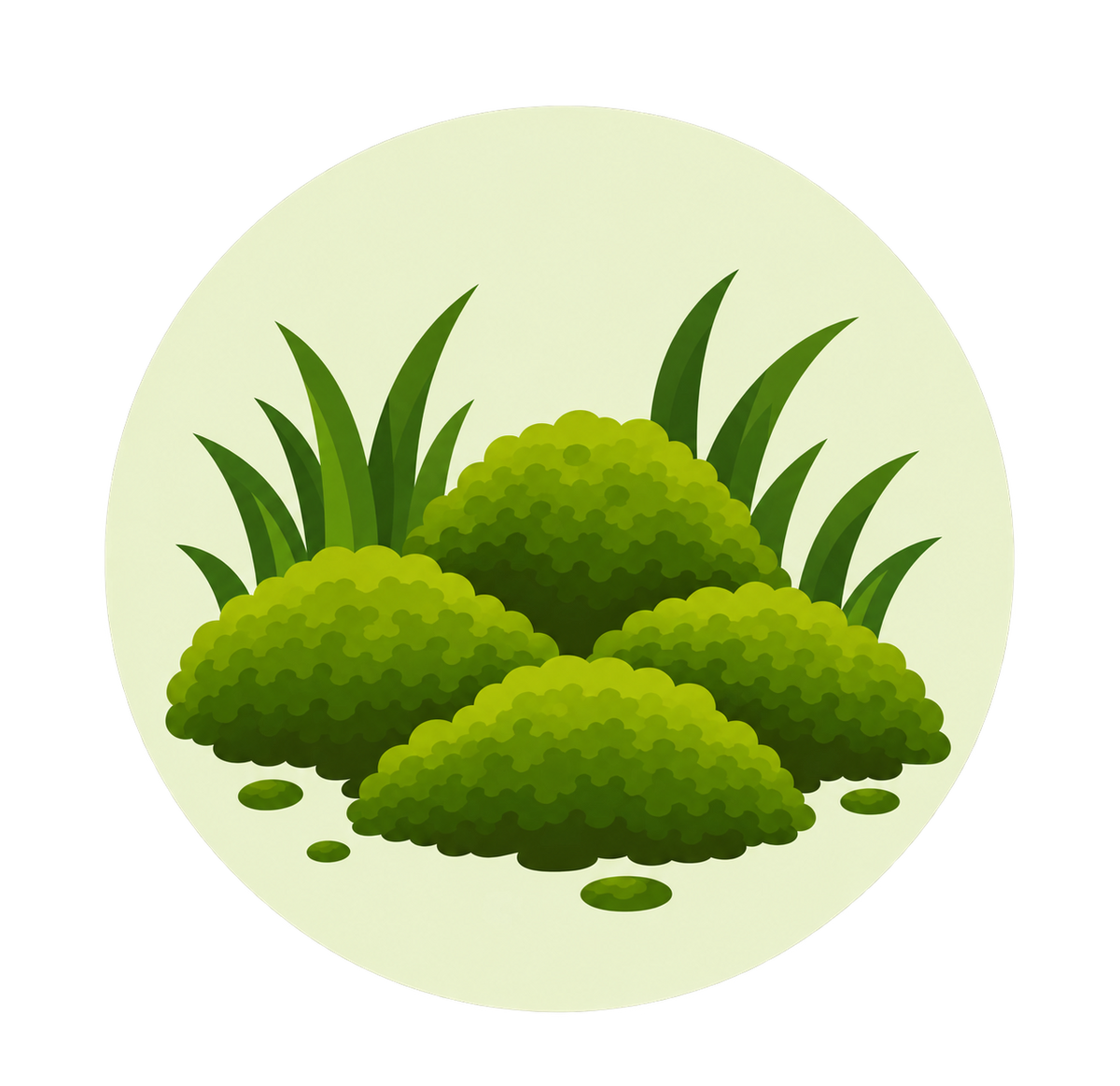 Moss keeps coming back
