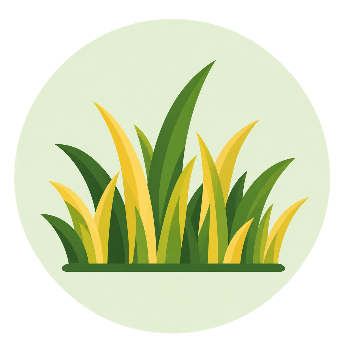 Yellow or tired-looking grass