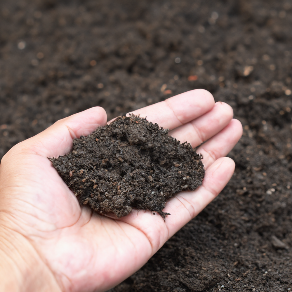 Enhanced soil fertility