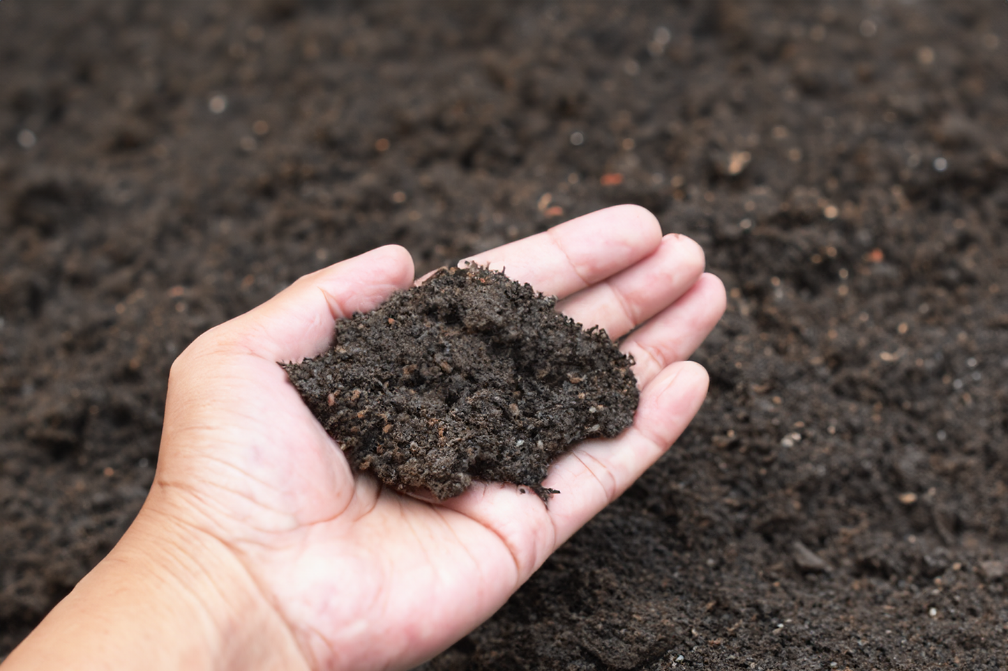 Enhanced soil fertility